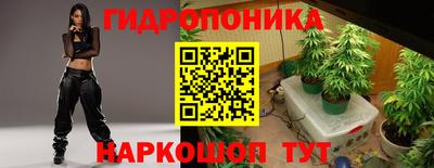 эйфоретик Бузулук