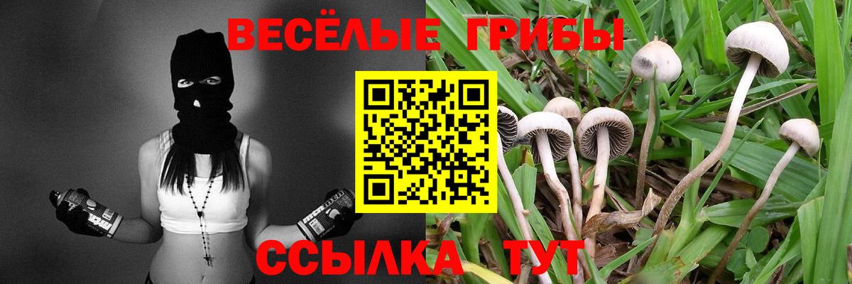 Галлюциногенные грибы Psilocybine cubensis  где найти   Иркутск  Вход с VPN 
